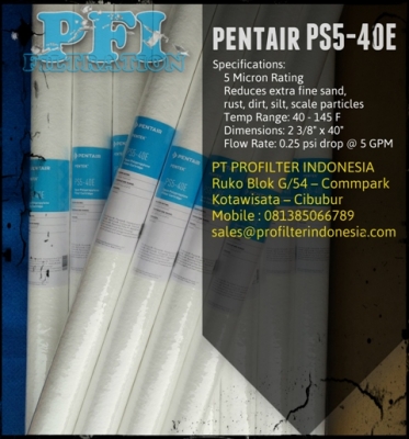Pentair PS5-40E Filter Cartridge Indonesia large2.jpg